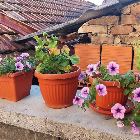 Sweet Old Town Flat Lejlighed Sarajevo