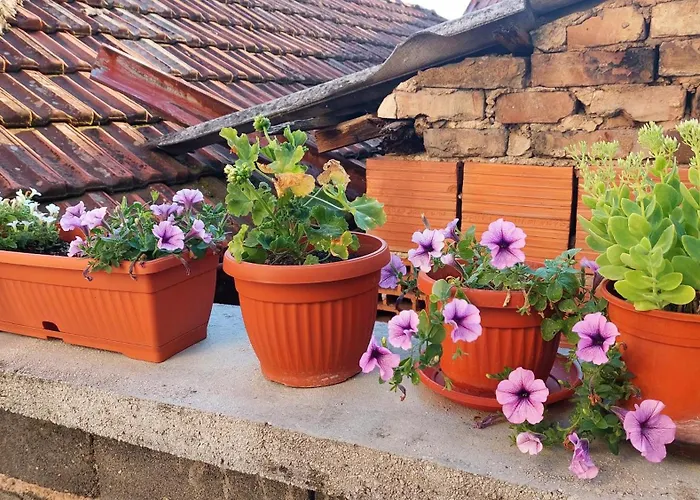 Sweet Old Town Flat Apartament Sarajewo